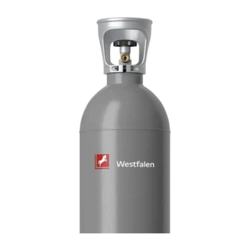 Protadur E290  Co2 10 Lt. N 