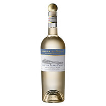 Grappa di Ruché 45 % 70 cl. N
TF7048/0000