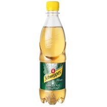 Schweppes Ginger Ale 4x6-PET 50 cl. N 