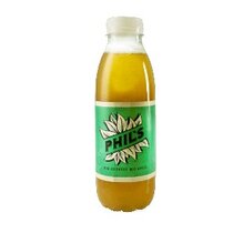 Phil s Bio Grüntee 12-PET 50 cl. 