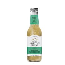 Swiss Mountain Spring Ginger Ale 24-EW 20 cl. N 
