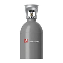 Protadur E290  Co2 10 Lt. N 